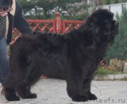 Превью фото № 213383