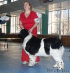 Превью фото № 21341