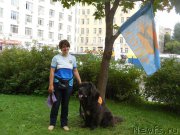 Превью фото № 213410