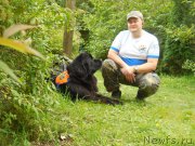 Превью фото № 213413