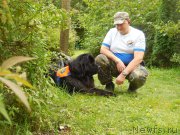 Превью фото № 213414