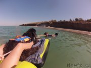 Превью фото № 213492