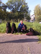 Превью фото № 213647