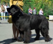 Превью фото № 213697