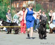 Превью фото № 213701