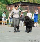 Превью фото № 213703