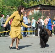 Превью фото № 213710