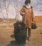 Превью фото № 21372