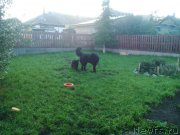 Превью фото № 213723