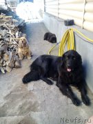 Превью фото № 213727