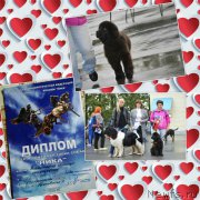 Превью фото № 213736