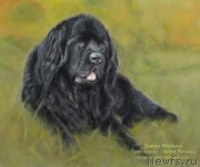 Превью фото № 213750