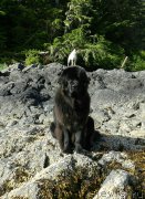 Превью фото № 213765