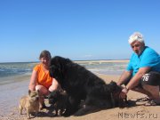 Превью фото № 213771