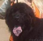 Превью фото № 21378