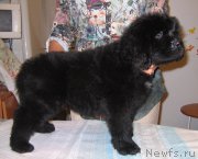 Превью фото № 213794