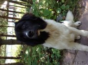 Превью фото № 213858