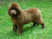 Превью фото № 213884