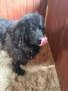 Превью фото № 213908