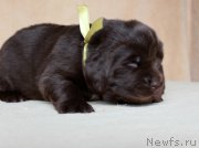 Превью фото № 213998