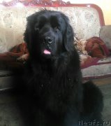 Превью фото № 214012