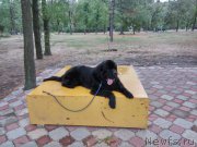 Превью фото № 214052