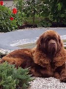 Превью фото № 214114