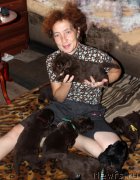 Превью фото № 214126