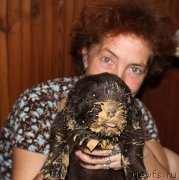 Превью фото № 214128