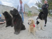 Превью фото № 214138