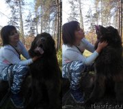 Превью фото № 214152