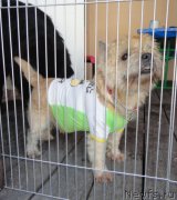 Превью фото № 214171