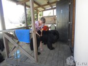 Превью фото № 214174