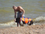 Превью фото № 214213