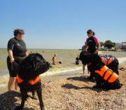 Превью фото № 214222