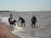 Превью фото № 214232