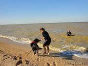 Превью фото № 214238