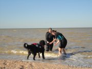 Превью фото № 214243