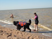 Превью фото № 214247