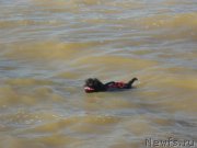 Превью фото № 214253