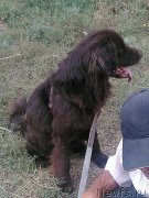 Превью фото № 214334