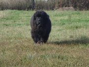 Превью фото № 214389