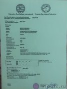 Превью фото № 214404