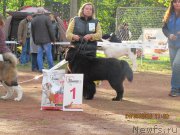 Превью фото № 214453