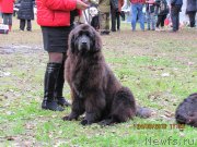 Превью фото № 214454