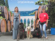 Превью фото № 214516