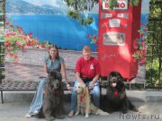 Превью фото № 214517