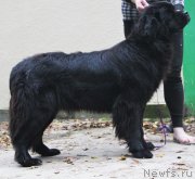 Превью фото № 214543