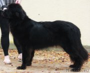 Превью фото № 214544