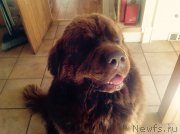 Превью фото № 214571